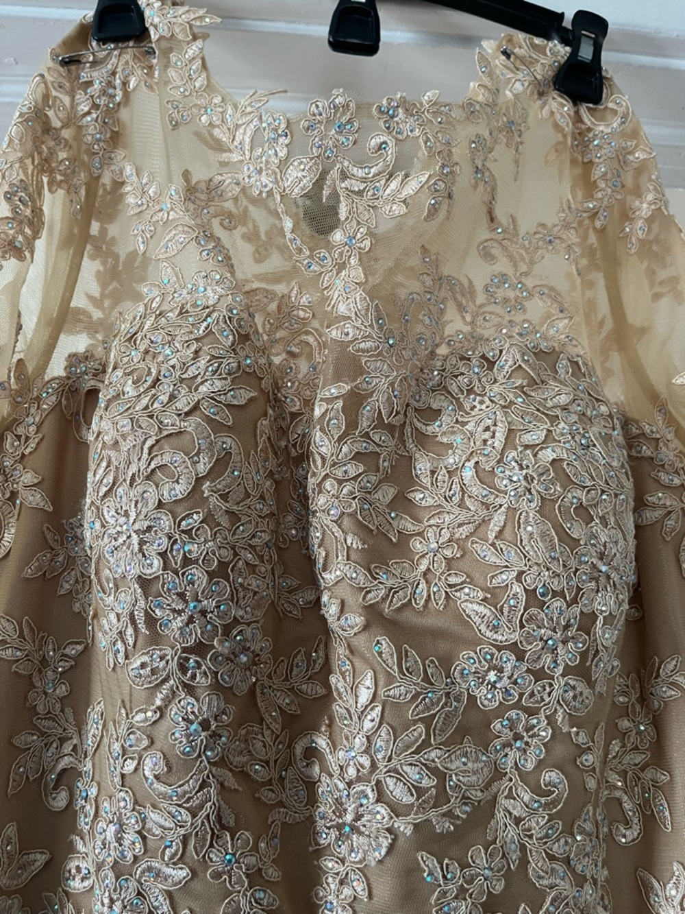 Elegant Embroidered Illusion Neckline Evening Dress in Champagne